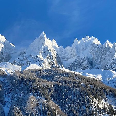Chamonix Superbe Appartement Vue Mont Blanc ภายนอก รูปภาพ