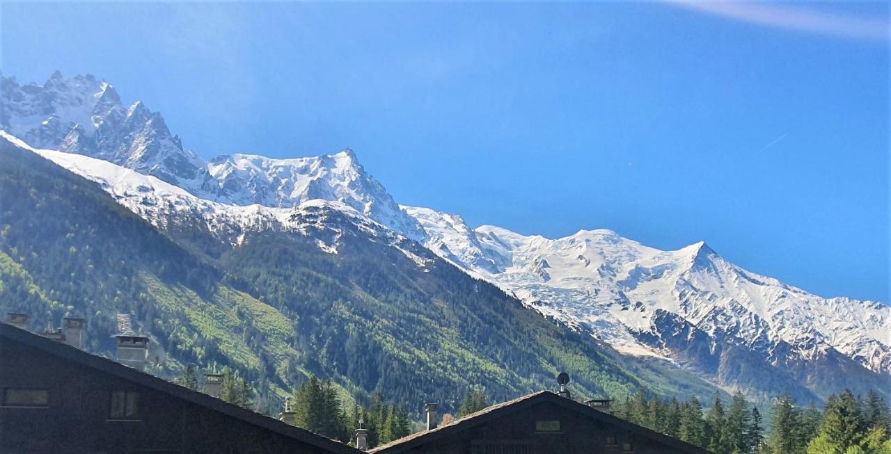 Chamonix Superbe Appartement Vue Mont Blanc ภายนอก รูปภาพ