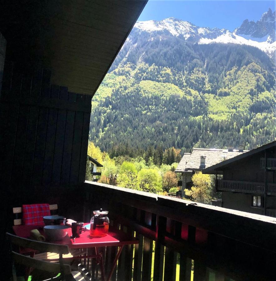 Chamonix Superbe Appartement Vue Mont Blanc ภายนอก รูปภาพ