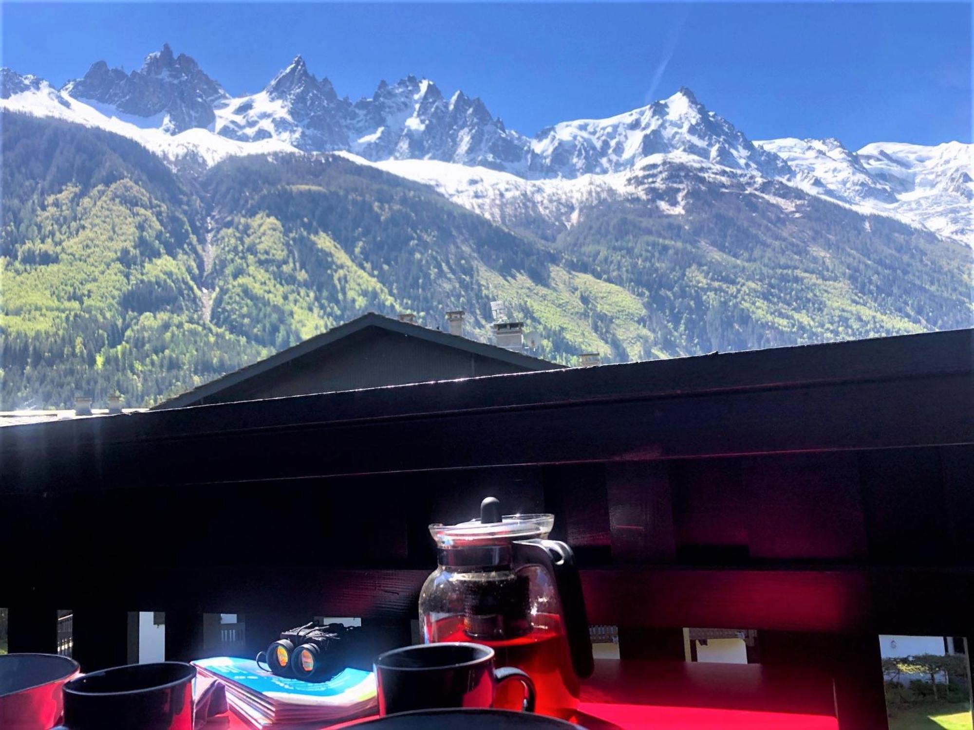 Chamonix Superbe Appartement Vue Mont Blanc ภายนอก รูปภาพ
