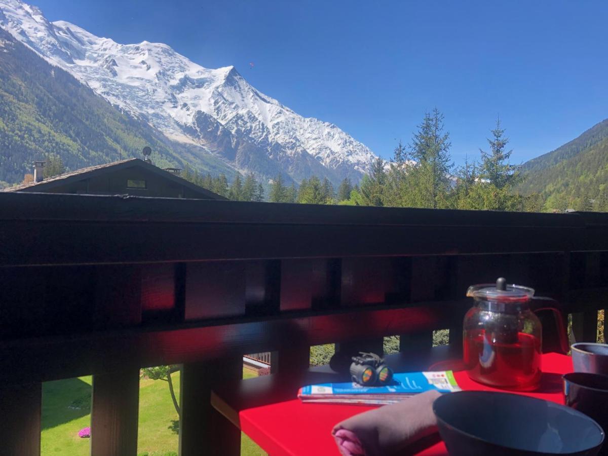 Chamonix Superbe Appartement Vue Mont Blanc ภายนอก รูปภาพ
