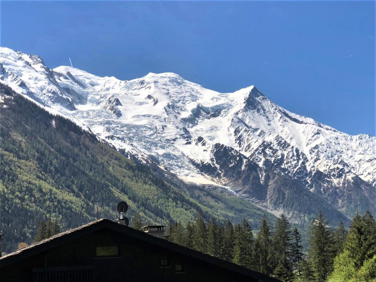 Chamonix Superbe Appartement Vue Mont Blanc ภายนอก รูปภาพ