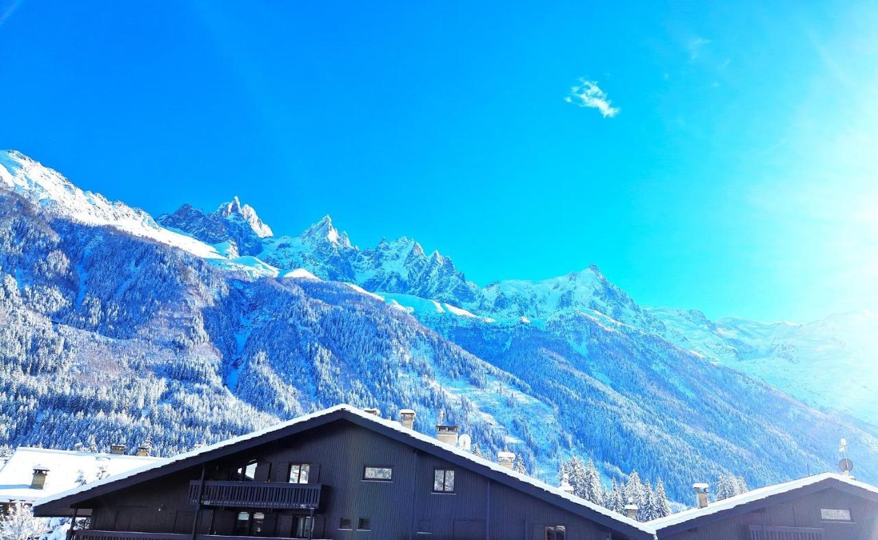 Chamonix Superbe Appartement Vue Mont Blanc ภายนอก รูปภาพ